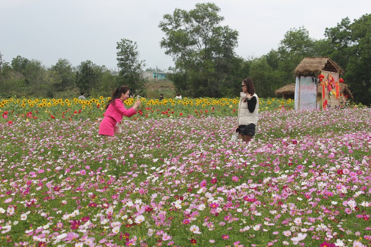 Du khách thích thú tham quan vườn hoa đa sắc ven TP. Đồng Hới - Ảnh 5.