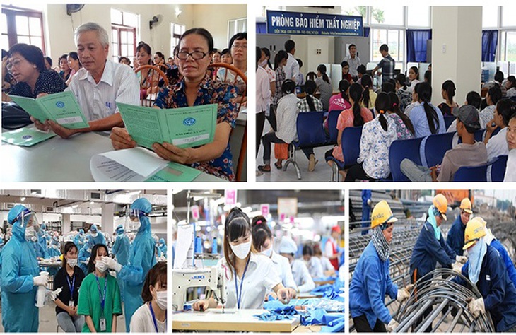 Quyền lợi người tham gia, thụ hưởng BHXH, BHYT, BHTN được đảm bảo đầy đủ, kịp thời
- Ảnh 1. Quyền lợi người tham gia, thụ hưởng BHXH, BHYT, BHTN được đảm bảo đầy đủ, kịp thời
- Ảnh 1.
