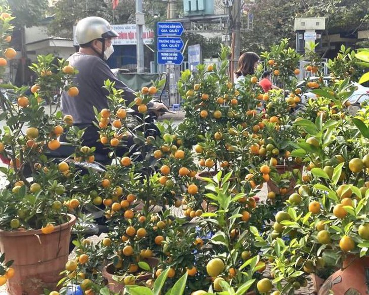 photo-1672727614965