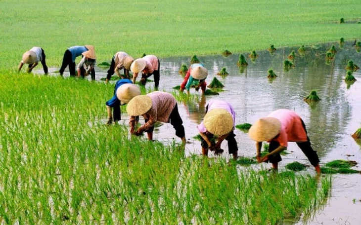 Những chính sách mới có hiệu lực từ tháng 2/2023