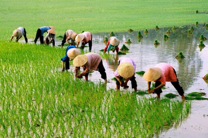 Những chính sách mới có hiệu lực từ tháng 2/2023 - Ảnh 3.