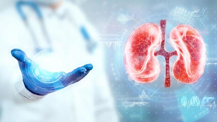 Bệnh tiểu đường có thể dẫn đến suy thận như thế nào?   - Ảnh 2.