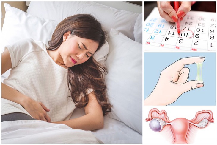 Khí hư được hình thành do tác dụng của nội tiết tố sinh sản nữ estrogen. Ảnh minh họa Khí hư được hình thành do tác dụng của nội tiết tố sinh sản nữ estrogen. Ảnh minh họa
