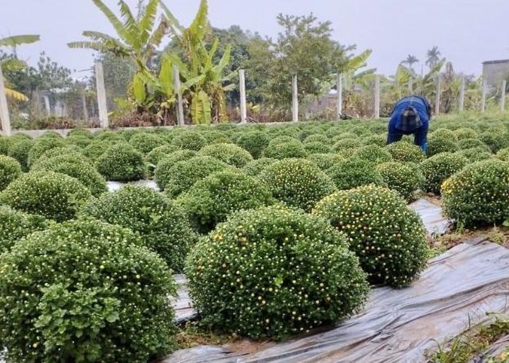 photo-1672807066472