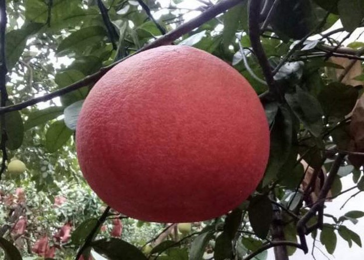 photo-1672901829466