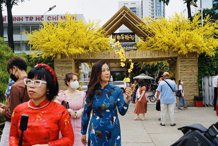 Người Sài Gòn hào hứng "check in" ở đường mai vàng, Phố ông đồ - Ảnh 1.
