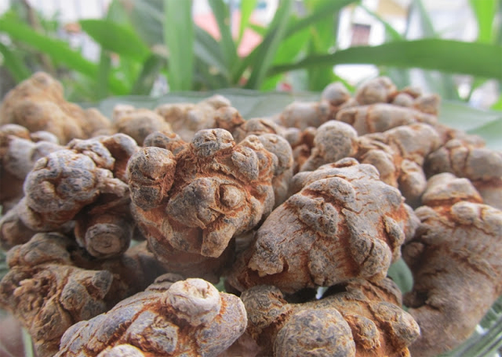 Món ăn bài thuốc có tam thất - Ảnh 1.