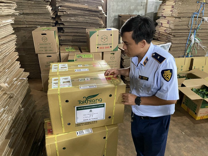 Giả cây chanh dây giống nhập khẩu, một doanh nghiệp bị xử phạt - Ảnh 1. Giả cây chanh dây giống nhập khẩu, một doanh nghiệp bị xử phạt - Ảnh 1.