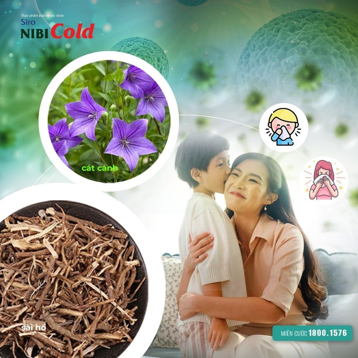 Cải thiện và giảm các triệu chứng cảm lạnh bằng đông y - Ảnh 1. Cải thiện và giảm các triệu chứng cảm lạnh bằng đông y - Ảnh 1.