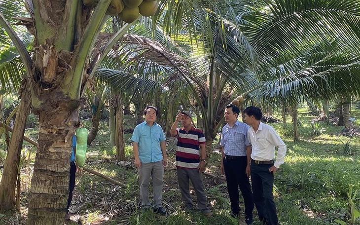 Quảng Ngãi: Giám sát tình hình triển khai Dự án thuộc Chương trình MTQG 1719