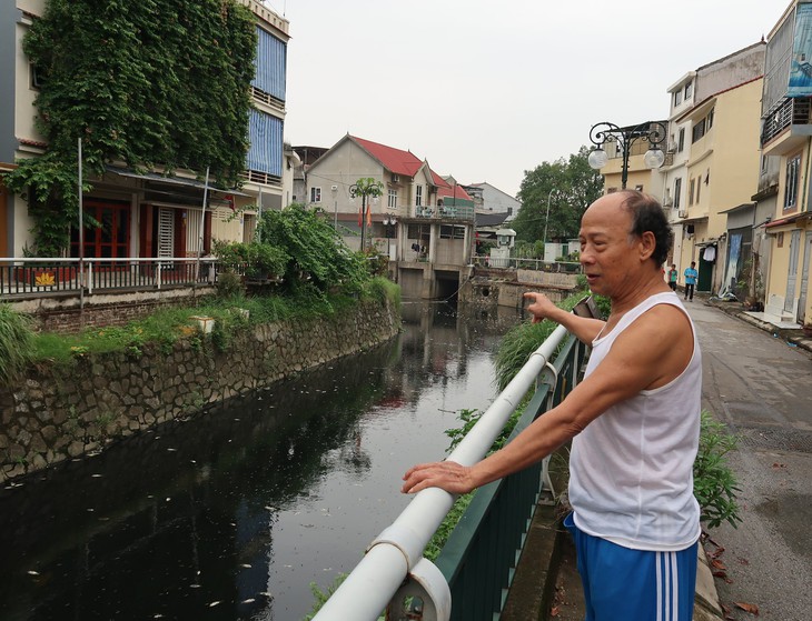 Cá chết nổi trắng hào thành Vinh - Ảnh 3.