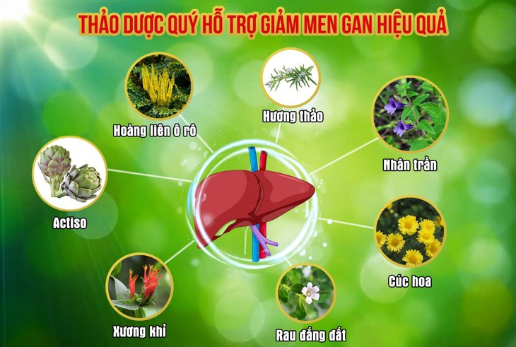 Có nên dùng bổ gan khi bị sốt xuất huyết Dengue? - Ảnh 2.