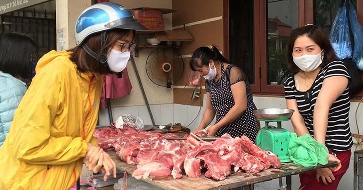 Nhiều trang trại lỗ nặng phải bán lợn hơi dưới 50.000 đồng/kg