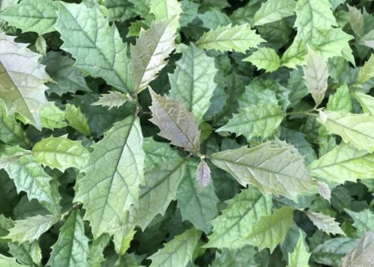 photo-1697030926318