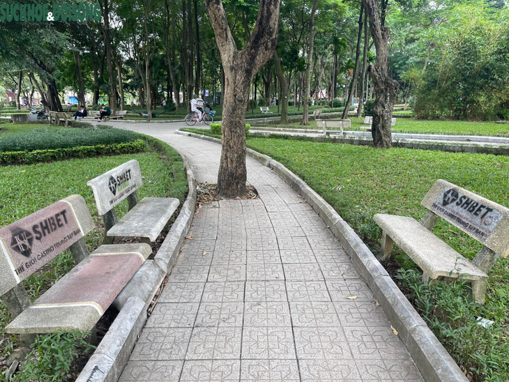 Hàng loạt ghế đá tại vườn hoa Nguyễn Trãi bị xịt sơn quảng cáo web cờ bạc - Ảnh 4.