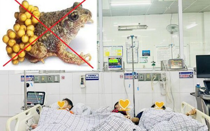 Ngộ độc thịt và trứng cóc, 3 mẹ con phải nhập viện cấp cứu