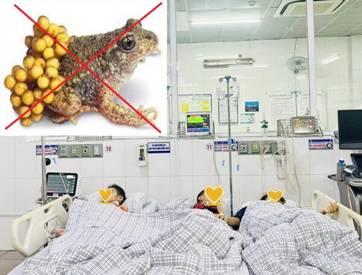 Ngộ độc thịt và trứng cóc, 3 mẹ con phải nhập viện cấp cứu - Ảnh 3.