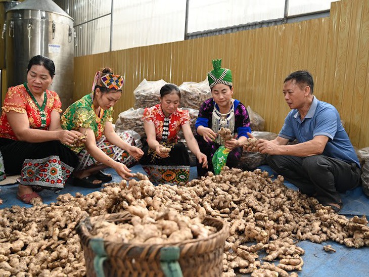 Nghệ An: Triển khai có hiệu quả cơ chế, chính sách, chương trình về công tác dân tộc- Ảnh 1.