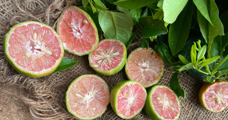 Tháng 10 nhớ ngâm chanh đào mật ong - Ảnh 2. Tháng 10 nhớ ngâm chanh đào mật ong - Ảnh 2.