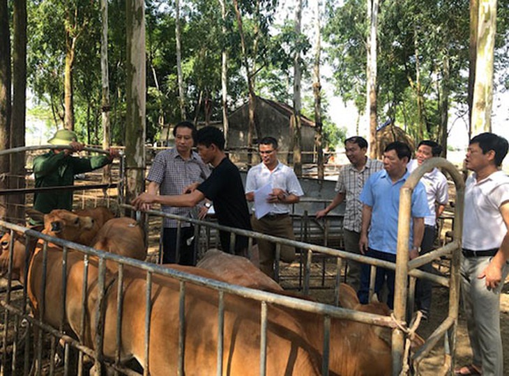 Nghệ An: Triển khai có hiệu quả cơ chế, chính sách, chương trình về công tác dân tộc- Ảnh 3.