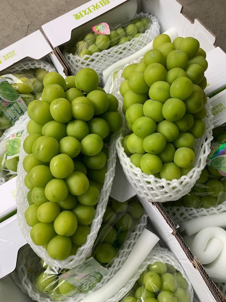 Nho Trung Quốc giá 20.000 đồng/kg tràn ngập chợ - Ảnh 1. Nho Trung Quốc giá 20.000 đồng/kg tràn ngập chợ - Ảnh 1.