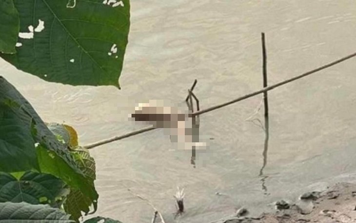 Đã bắt được nghi phạm giết người giấu xác ven sông Hồng