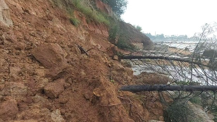 Mưa lớn kéo dài, đất đá, cây cối ven biển Hà Tĩnh bị sạt lở nghiêm trọng - Ảnh 2.