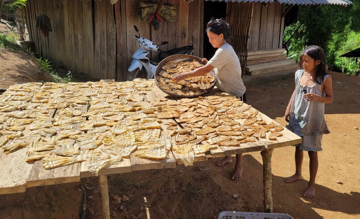 Nguồn vốn từ Chương trình MTQG 1719 giúp đổi thay bản vùng cao- Ảnh 4.