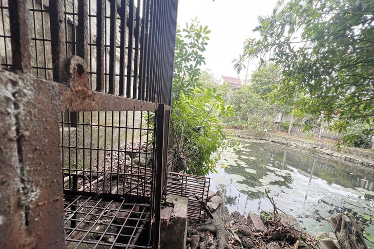 Cá thể gấu cuối cùng của tỉnh Hải Dương được về khu bán hoang dã - Ảnh 4.