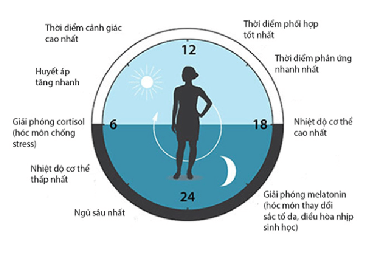 Làn da thay đổi thế nào trong 24 giờ, cách chăm sóc da phù hợp - Ảnh 1.