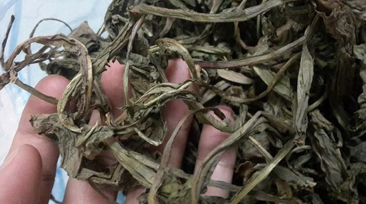 8 bài thuốc chữa tắc tia sữa, mụn nhọt từ bồ công anh - Ảnh 3.