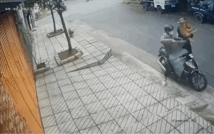 Đã bắt được hai tên trộm chó bị ô tô húc văng