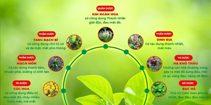 Hỗ trợ giảm các biểu hiện đau mắt đỏ theo y học cổ truyền - Ảnh 1.
