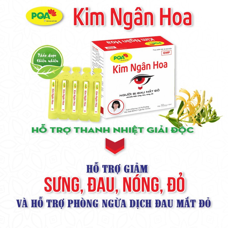 Hỗ trợ giảm các biểu hiện đau mắt đỏ theo y học cổ truyền - Ảnh 2.