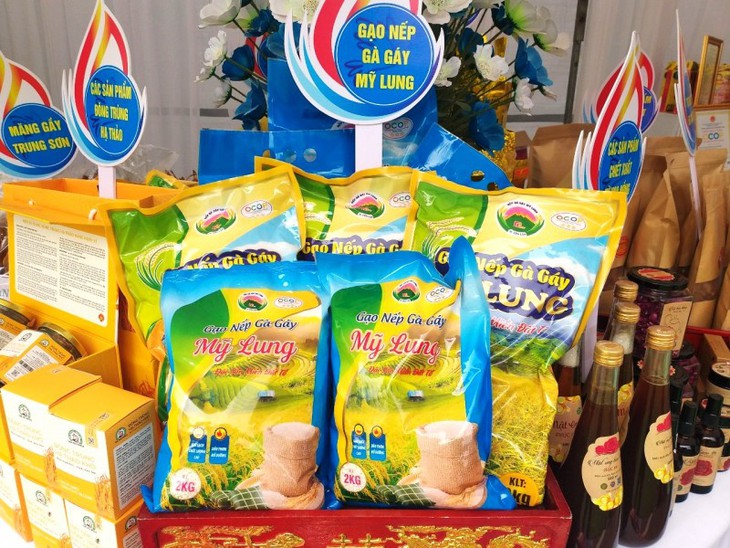 Chương trình MTQG 1719 góp phần nâng cao đời sống đồng bào dân tộc thiểu số và miền núi tỉnh Phú Thọ- Ảnh 4.
