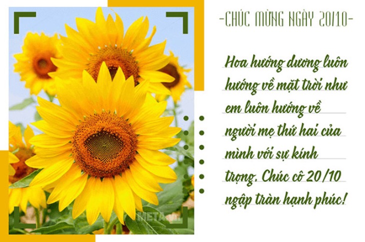 Những mẫu thiệp chúc mừng Ngày phụ nữ Việt Nam 20/10 đẹp nhất - Ảnh 17.