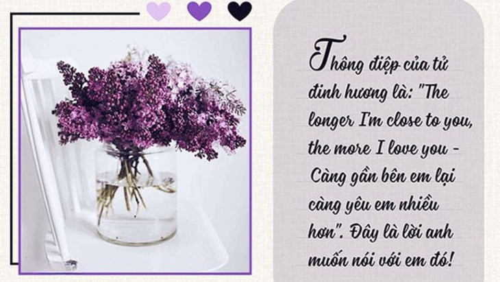 Những mẫu thiệp chúc mừng Ngày phụ nữ Việt Nam 20/10 đẹp nhất - Ảnh 24.