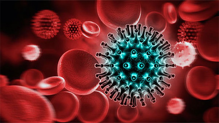 Đồng nhiễm HIV và viêm gan C gây biến chứng nặng, tỉ lệ tử vong cao - Ảnh 1. Đồng nhiễm HIV và viêm gan C gây biến chứng nặng, tỉ lệ tử vong cao - Ảnh 1.