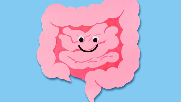 Bạn có biết “hệ thần kinh ruột" giống như bộ não thứ hai của con người? - Ảnh 1.