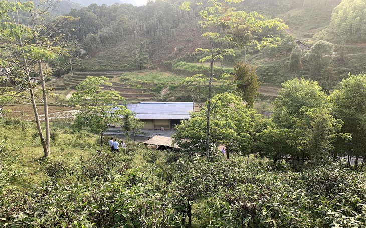 Phát triển trồng dược liệu trong vùng đồng bào dân tộc thiểu số và miền núi