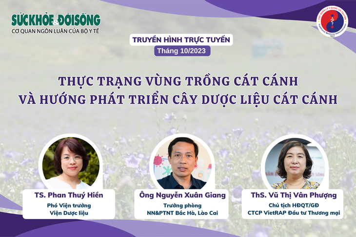 Truyền hình trực tuyến: Thực trạng vùng trồng cát cánh và hướng phát triển cây dược liệu cát cánh - Ảnh 1.