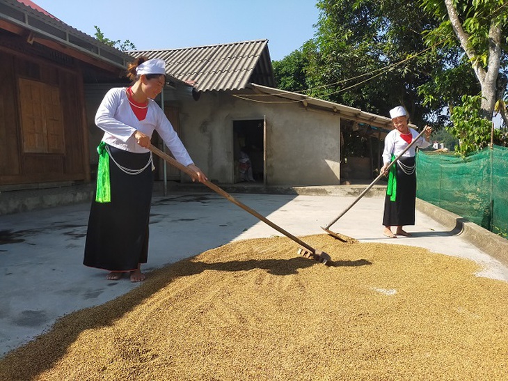 Trấn Yên, Yên Bái: Khởi sắc vùng đồng bào dân tộc thiểu số nhờ Chương trình MTQG 1719- Ảnh 1.