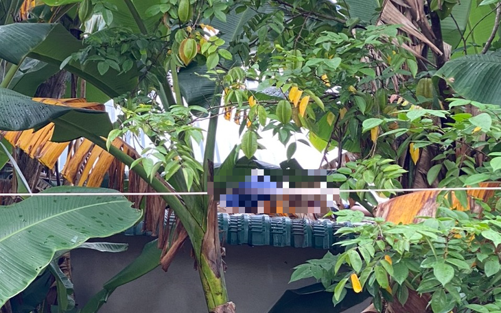 Nam nhân viên tử vong thương tâm khi sửa chữa dây mạng - Ảnh 1. Nam nhân viên tử vong thương tâm khi sửa chữa dây mạng - Ảnh 1.
