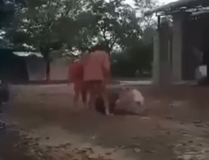 Lãnh đạo ngành giáo dục ở Thừa Thiên Huế nói gì về thực trạng bạo lực học đường? - Ảnh 1.