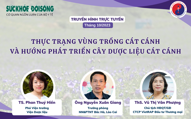Truyền hình trực tuyến: Thực trạng vùng trồng cát cánh và hướng phát triển cây dược liệu cát cánh