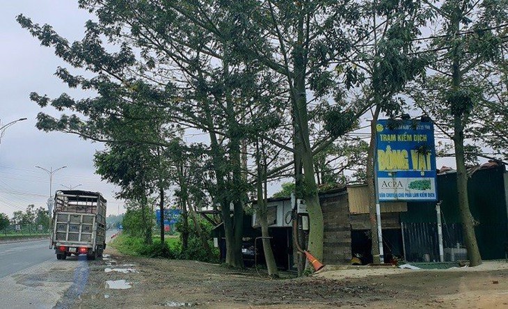 Hai nhân viên trạm kiểm dịch 'vòi' tiền chủ xe chở lợn - Ảnh 1.