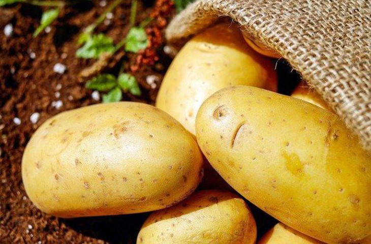15 loại thực phẩm tốt cho người bệnh trĩ  - Ảnh 6.