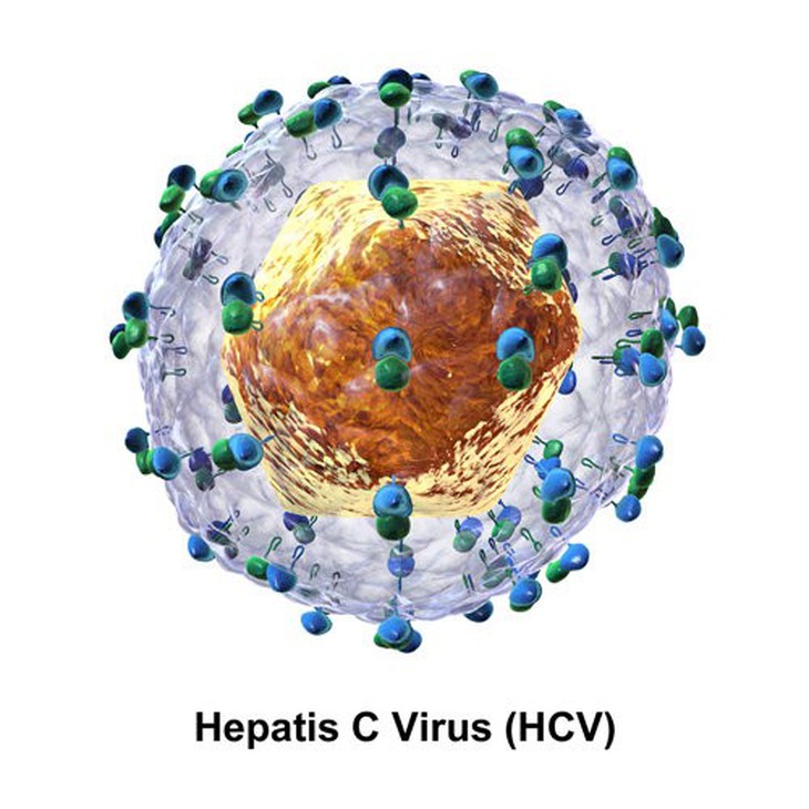 Thực trạng khó khăn trong điều trị đồng nhiễm HIV và viêm gan C - Ảnh 1. Thực trạng khó khăn trong điều trị đồng nhiễm HIV và viêm gan C - Ảnh 1.