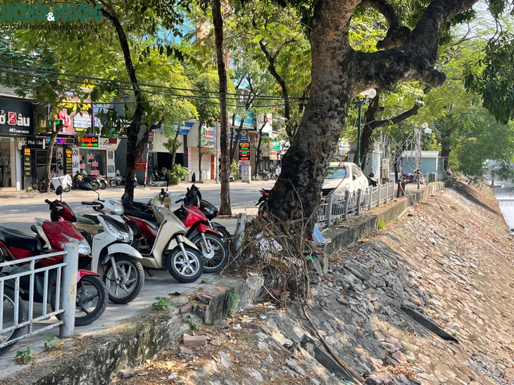 Hà Nội: Cầu đi bộ qua sông Kim Ngưu xuống cấp, thủng lỗ to - Ảnh 10.