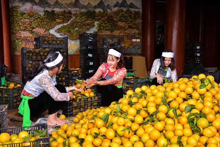 Hòa Bình khai thác tiềm năng, lợi thế của các địa phương trong thực hiện Chương trình MTQG 1719- Ảnh 1.
